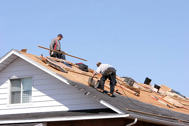 Best Gutter Installation and Repair  in Seeley Lake, MT